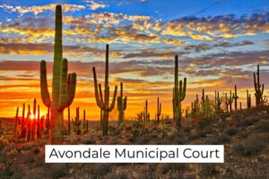 Desert cactus and sun set